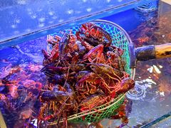 -虾铺子龙虾·私房菜(金源花苑店)