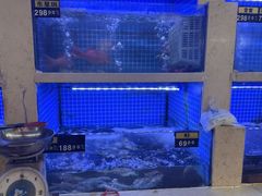 -大海湾酒楼(人南店)