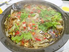 -皇中百岁鱼(西兰路店)