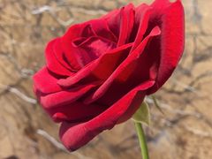 -北京华彬费尔蒙酒店·刃餐厅