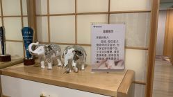 -爱陪伴尊享月子中心(国际店)