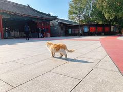 -北京市劳动人民文化宫(太庙)