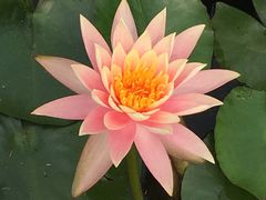 -华南国家植物园-售票处