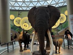 -陕西自然博物馆