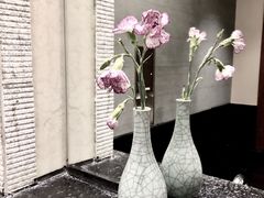 -苏州独墅湖世尊酒店