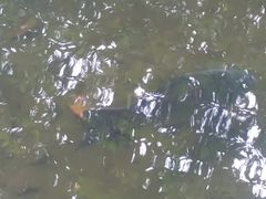 -天赐温泉
