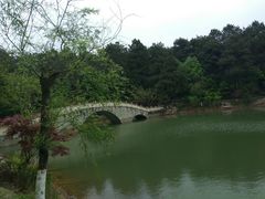 -铁山坪森林公园