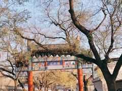 -北京国子监胡同