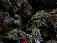 -龙苍沟森林公园