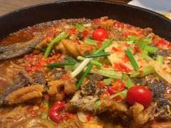 -老板恋上鱼(印象城店)