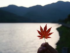 -丹东天桥沟景区