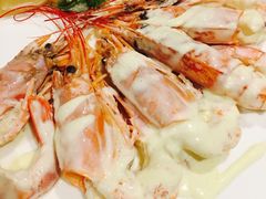 -百好乐宠物友好餐厅(朝外大街店)