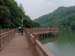 -桃花岭景区