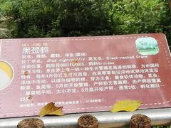 -深圳野生动物园