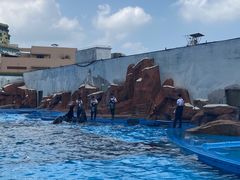 -上海海昌海洋公园