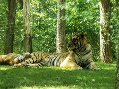 -北京野生动物园