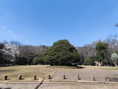 -灵谷景区