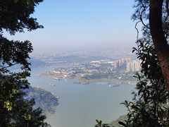 -铁山坪森林公园