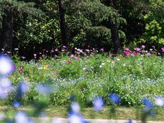 -上海滨江森林公园