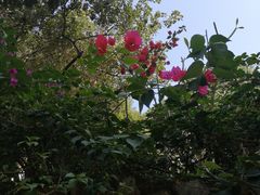 -天河儿童公园