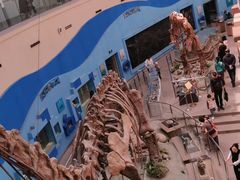 -陕西自然博物馆