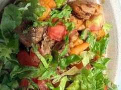 -油梨树 AVOCADO TREE(亮马桥店)