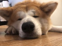 -YCHL Studios健身工作室(市二宫店)
