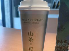 -雾与山茶(大禹城店)
