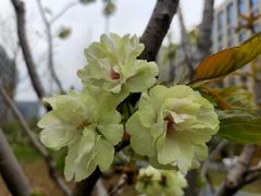 -新天地活力PARK