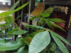 -湘当爱·鲜煮现炒(松岗立业路店)