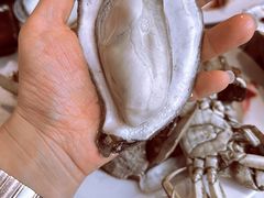 -半岛听涛蒸汽海鲜自助(K11店)