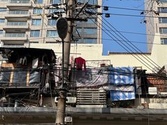 -村口大树(长乐路店)
