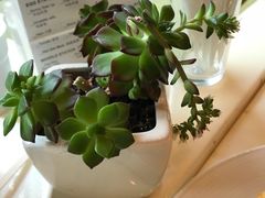 -北京北辰洲际酒店