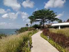 -Rock Bar Bali(Bali)