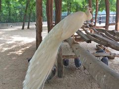 -秦皇岛野生动物园