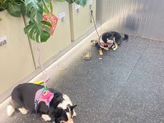 -TMG潮流健身(奥体莲荷里店)
