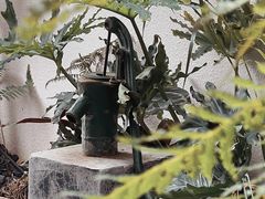 -漫笙舍Manse·咖啡·民宿