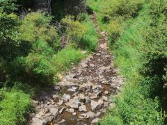-苏木山森林公园
