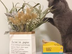 -谐和益家动物医院·免疫绝育·血液透析·宠保定点医院(高新伊藤分院)