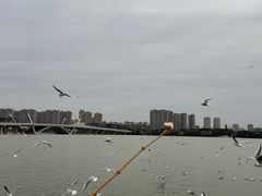 -蠡湖大桥公园