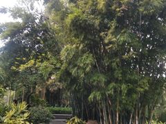-晓港公园