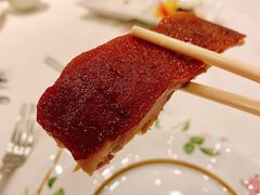 脆脆BB猪-翠园(北京王府中环店)
