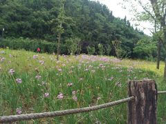 -贵阳市花溪国家城市湿地公园