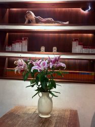 点击看大图 -禾颜社·精致美容