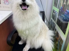 -美联众合动物医院·24h转诊中心