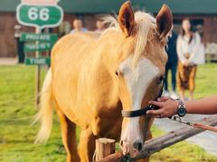 -华海酒店(茂名高铁站店)