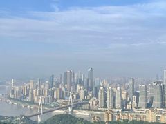 -南山植物园
