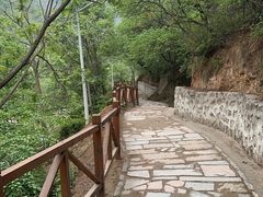 -大岭沟猕猴桃谷风景区