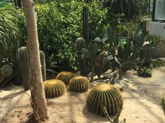 -武清南湖绿博园