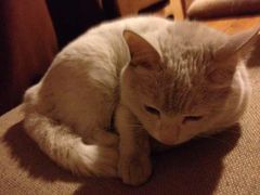 android_upload_pic-映画咖啡